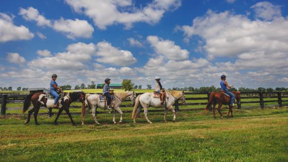 A family horse riding at a farm in Lexington, KY